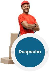 Despacho de pedidos